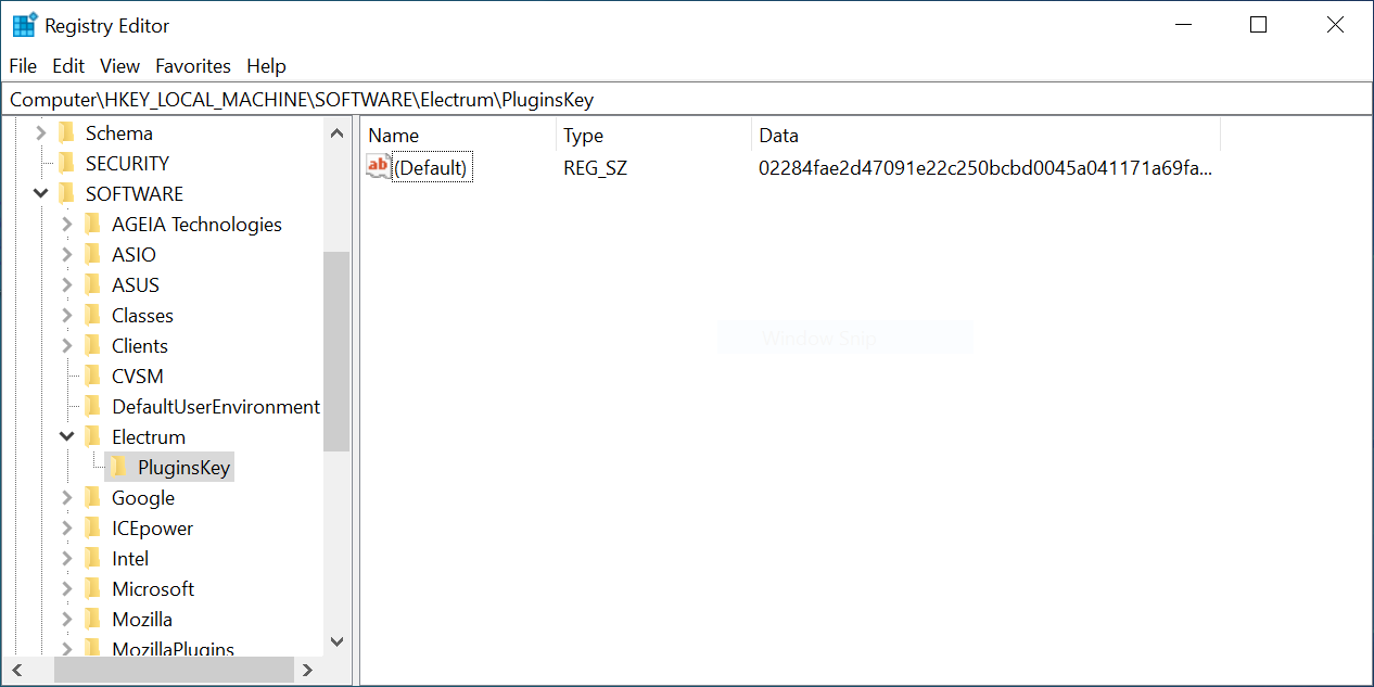 _images/external_plugin_windows_regedit.png